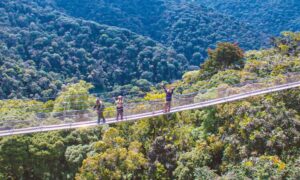 canopy walks in Nyungwe forest