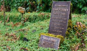 Dian Fossey's Grave