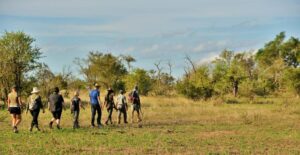 walking safaris in Ziwa Rino Sanctuary